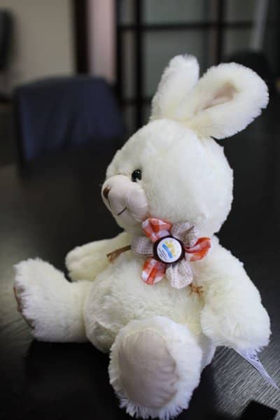 Подпись к фото