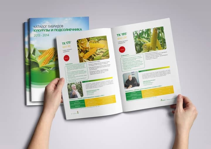 Подпись к фото