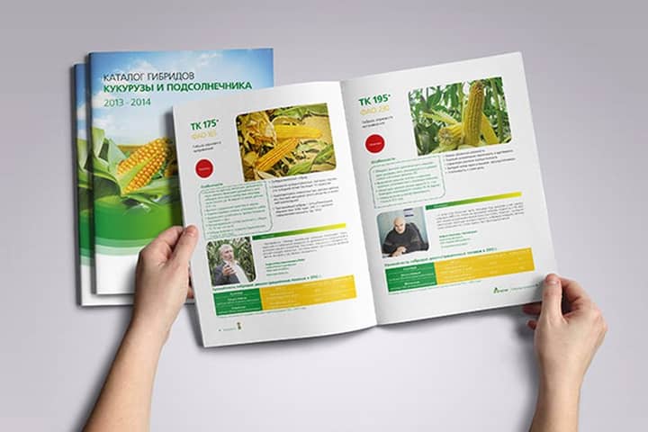 Подпись к фото